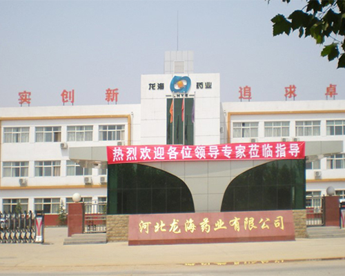 河北龍海藥業(yè)醫(yī)藥產業(yè)園項目機電工程總包